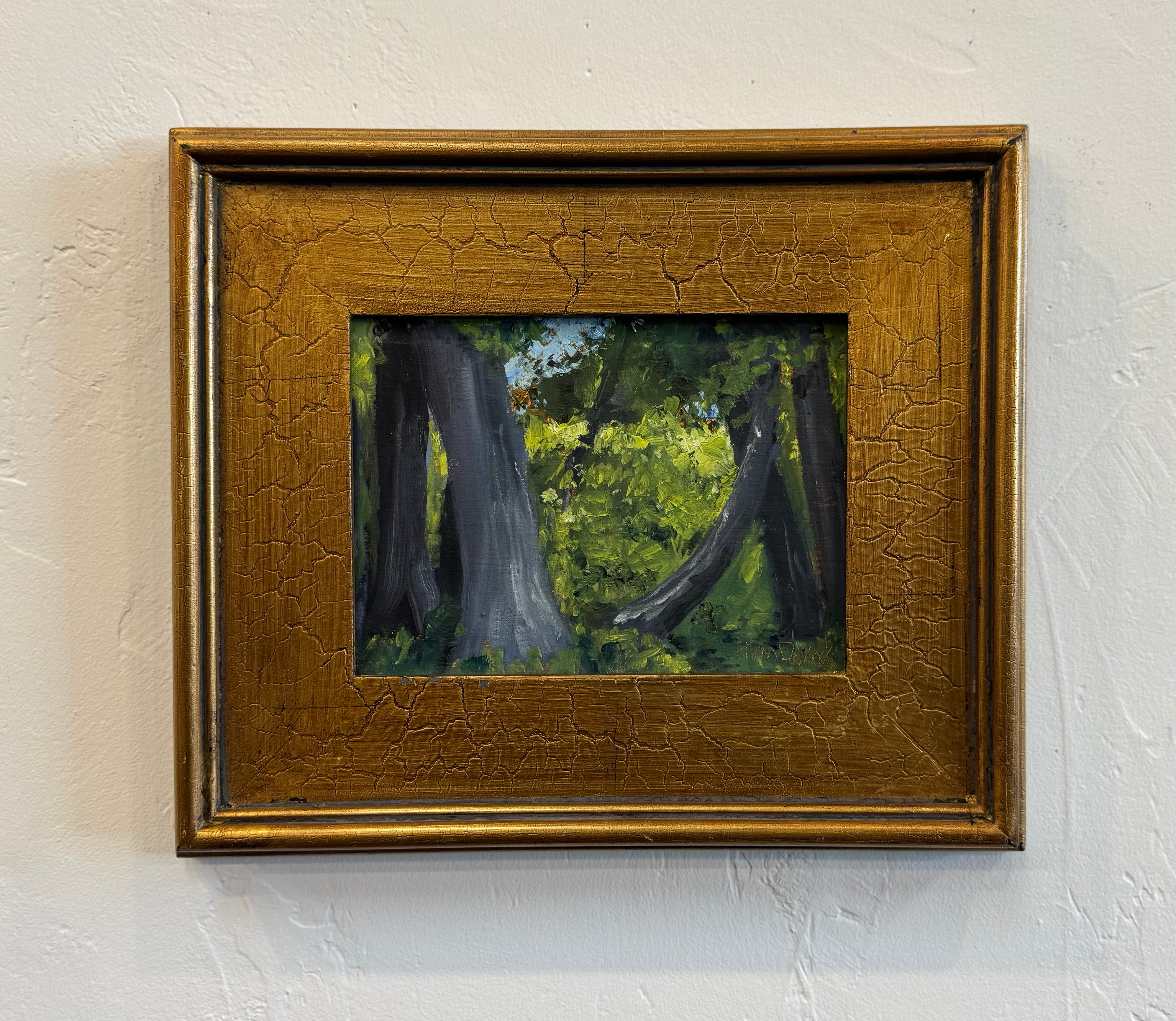 Tom Dimock “Forest” 