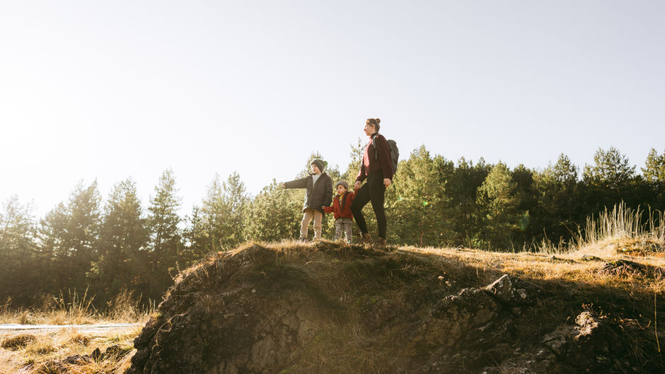 Intersection Column | The Love of a Mother and the Strength of a Lion