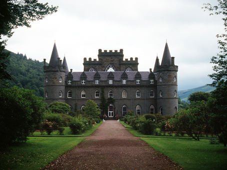 Intersection Column | Thistles and Roses