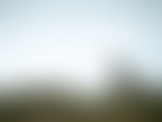 Lost Sheep