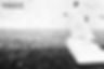 AQ2A8720v.jpg