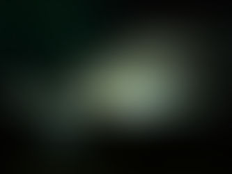 Viza, un sturion, a dispărut de pe Dunăre. Cega a devenit o specie pe cale de dispariție, nisetrul e