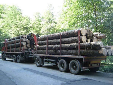 Tragedie la Borșa: Un bărbat a murit după ce un buștean căzut dintr-un camion i-a zdrobit mașina