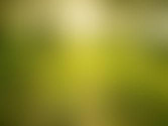 Cum va fi vremea în vara aceasta?