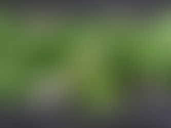 Importanța legumelor în alimentația noastră