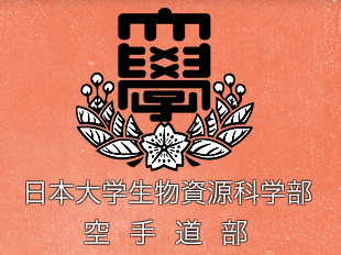 桜志会 Ob会 Karate