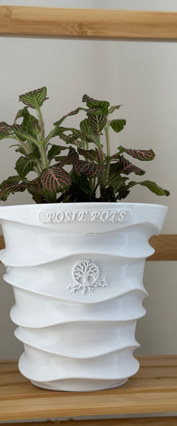 Nerve Plant in white Wave Posie Pots self watering planter; patented water once a month feature.