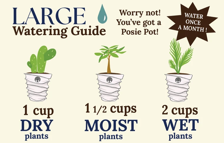 Large planter watering guide