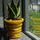 Thumbnail: Medium Wave Pot