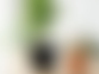 Pros and Cons of Self-Watering Pots: Are They Worth It?