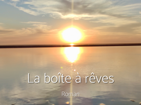 "La boîte à rêves" de Lili Velle