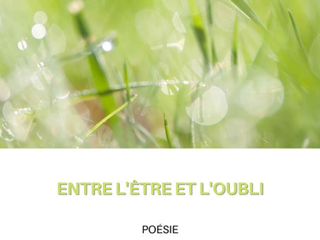 Nouvelle parution