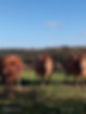 IMG-20250212-WA0003.jpg