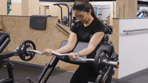 Preacher curls basic dumbbell exercises