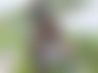 白天教知識，晚上學姿勢—補教天王の天使城激戰！(上)