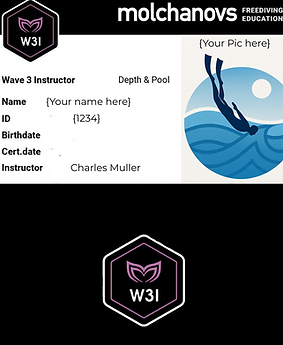 Molchanovs Wave3 Instructor upgrade (1).png