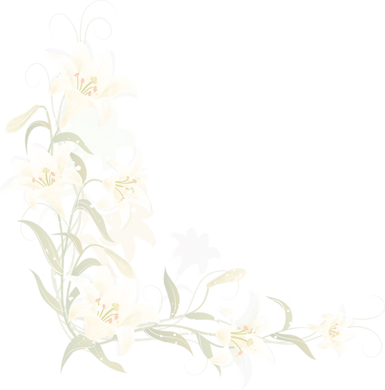 hand-painted-lily-border-098d98566024df99c8c4bcda4c36c9b9_edited_edited_edited.png