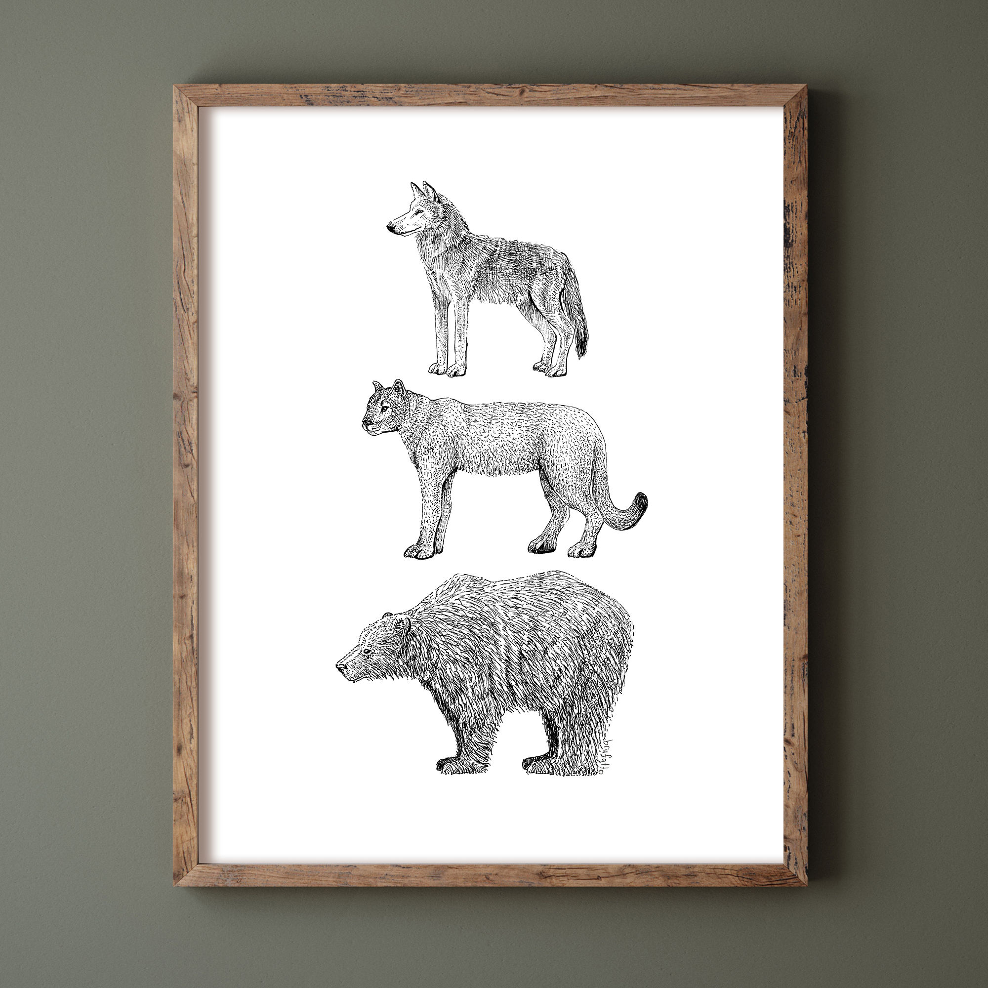 BC3 - Wolf, Cougar & Grizzly Bear