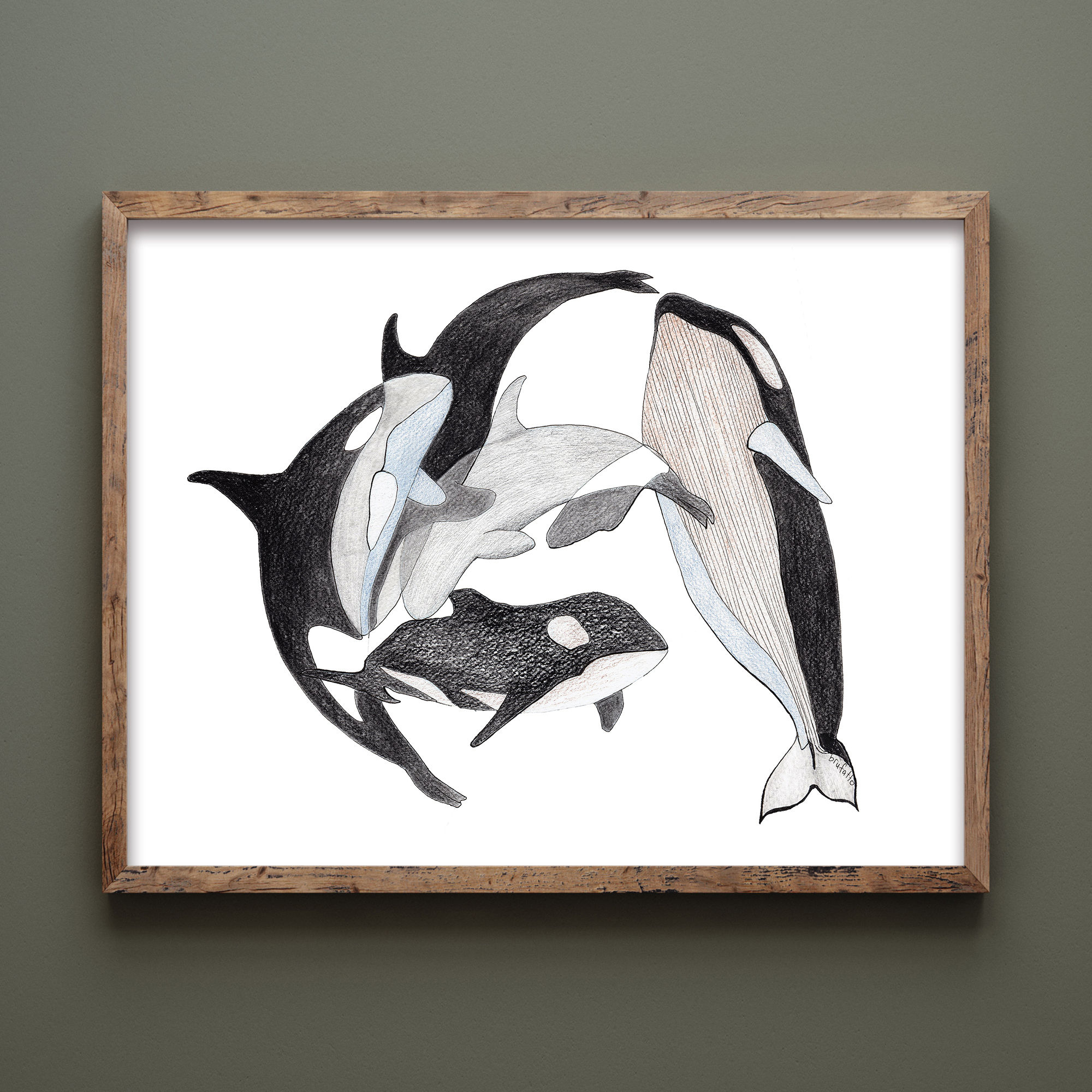 Orcas in Abstraction
