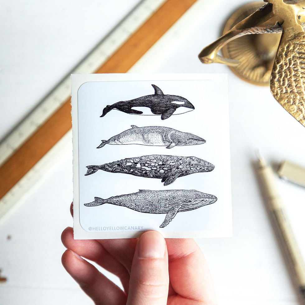 Thumbnail: 4 Cetaceans Sticker