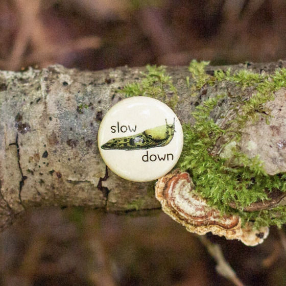 Thumbnail: Slow Down - Banana Slug Pinback Button