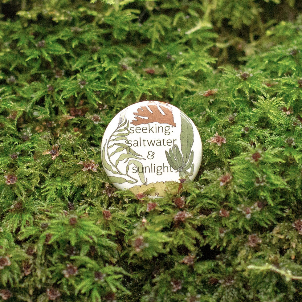 Thumbnail: Seeking Saltwater & Sunlight - Seaweed Pinback Button