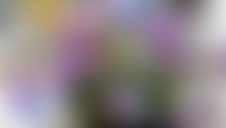 NFD資格検定１級レッスン「相互に入りまじって」