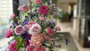 NFD講師研究科コース「マーラリッシュ.絵のような」