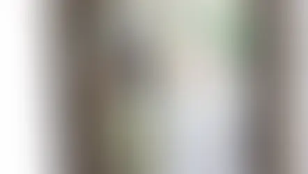 NFD1級試験出題テーマ、「高く上昇する円錐形」「ほぐれた装飾的花束」「流れるようなブーケ」