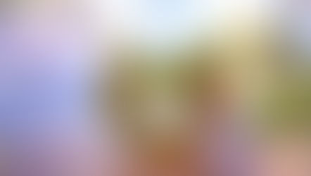 MASAKOフラワーデザインスクールキッズレッスン「Xmasリース」に参加なさいました、あおいちゃんとけいしろうくんの作品をご紹介いたします。