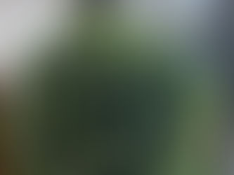フラワー装飾技能検定2級レッスン「籠花（スタンド花）配置A」