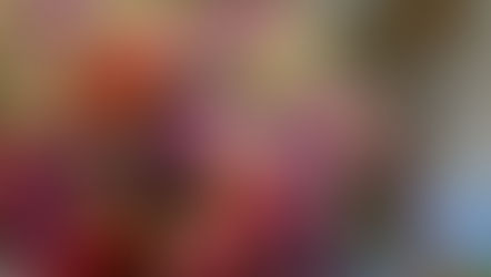 NFDフラワーデザイナー１級資格認定1レッスン、あらいみゆきさんの「ほぐれた装飾的花束」