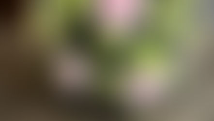 フラワー装飾技能検定3級レッスン「花束&リボン」「バスケットアレンジ」