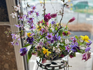 NFD講師研究科コース「クレセント、アレンジ