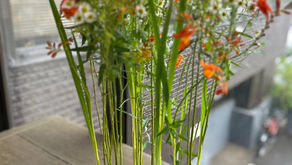 NFDフラワーデザイナー資格検2級試験出題テーマ
「並行ー植生的」
「モダンー装飾的花束」
「非対称形のブーケ」