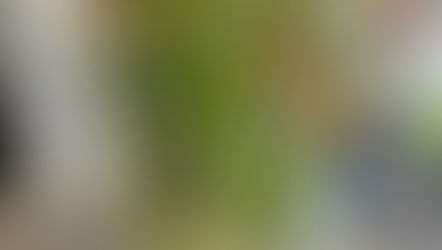 NFDフラワーデザイナー資格検2級試験出題テーマ
「並行ー植生的」
「モダンー装飾的花束」
「非対称形のブーケ」
