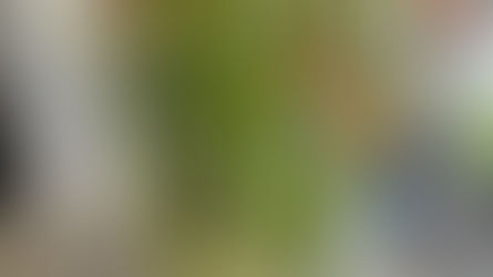NFDフラワーデザイナー資格検2級試験出題テーマ
「並行ー植生的」
「モダンー装飾的花束」
「非対称形のブーケ」