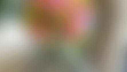 N FＤ資格検定3級レッスン
「丸い花束」
