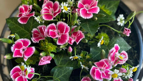 NFD講師取得レッスン3級「共同形態」