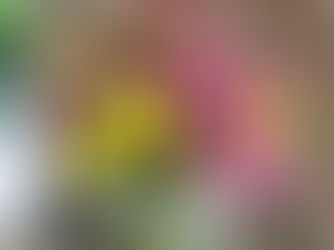 N FＤ資格検定3級体験レッスン「丸い花束」