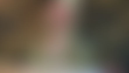 NFDアーティフィシャル、ディプロマコース参加作品「トピアリー」