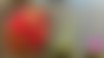 フラワー装飾技能検定3級レッスン「花束&リボン」「ブートニア」