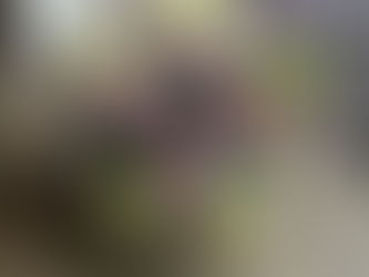 フラワー装飾技能検定3級レッスン「花束&リボン」「バスケットアレンジ」「ブートニア」