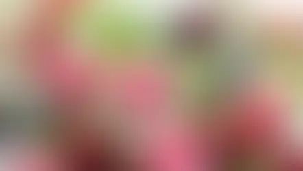 講師研究科コースで「相互に入り交じって」