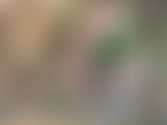 趣味で楽しむフラワーレッスン、アーティフィシャルフラワー上級コース「薔薇の壁飾り」
