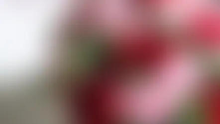 NFD資格検定国家資格フラワー装飾技能士検定3級レッスンで 「花束」「バスケットアレンジ」