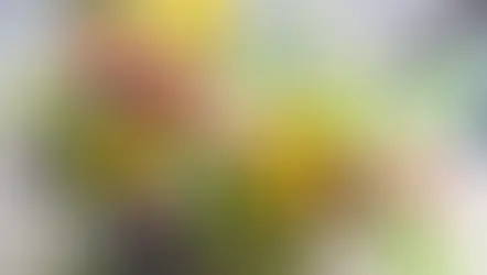 NFD講師研究科コース「巻かれたもの、応用編」