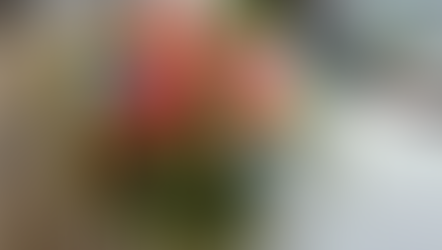 NFD資格検定3級体験レッスン「丸い花束」