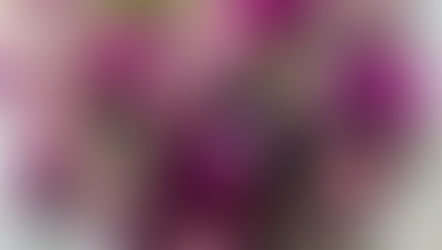 NFD講師取得レッスン3級テーマ「丸い花束」