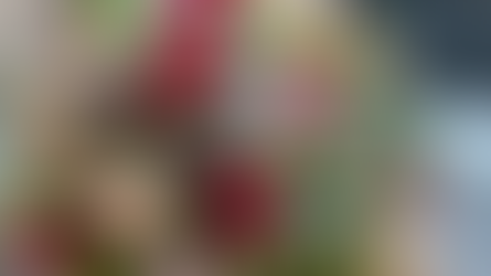 フラワー装飾技能検定1級レッスン「骨組み付花束」